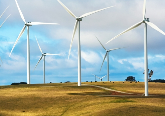 Wind turbines on cattle farm producing renewable energy in NSW