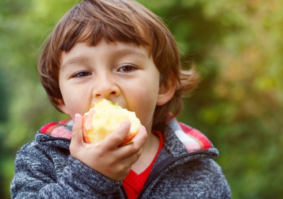 Young boy eating an apple