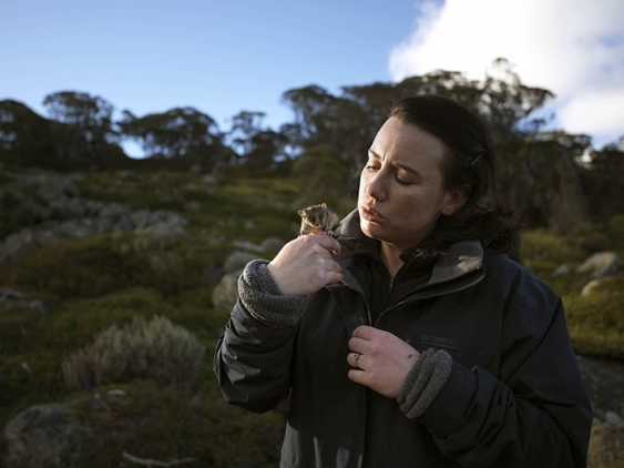 Dr Hayley Bates holds a Mountain Pygmy-possum