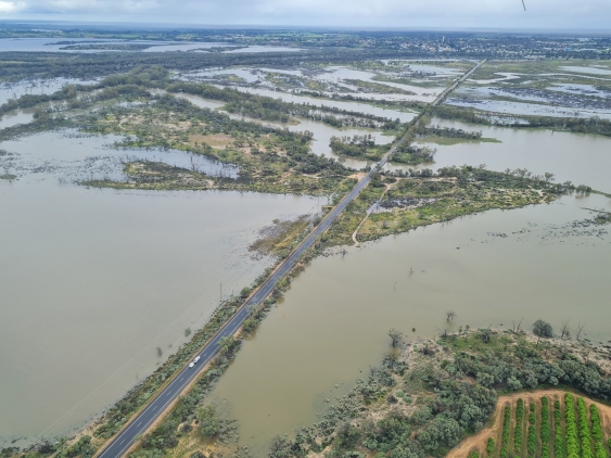 A Murray River floodplain near Berri in South Australia