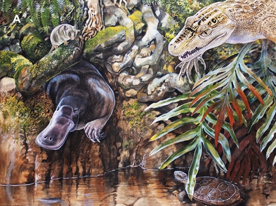 Artwork showing Mountain Pygmy-possum ancestor among other prehistoric animals