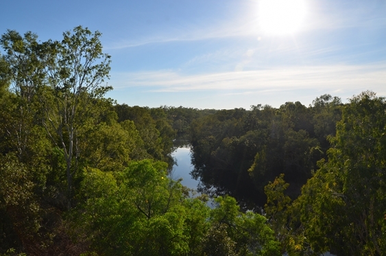 Trees line the banks of the Daly River, Northern Territory