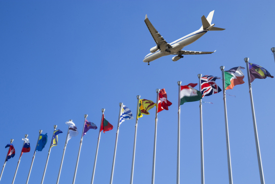 a jet flies above a row of international flags.jpg