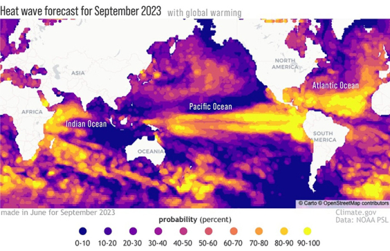 A heat map of the world showing the parts of the ocean that's most likely to experience marine heat waves