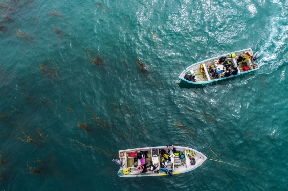 birds eye shot of two small boats in kelp forest waters