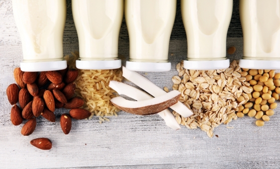 close up shot of different plant milks and their main ingredient
