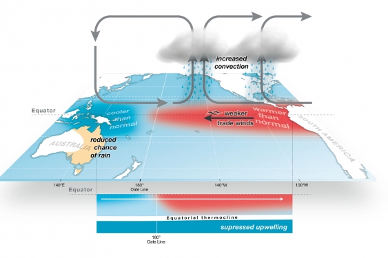 El Nino graphic