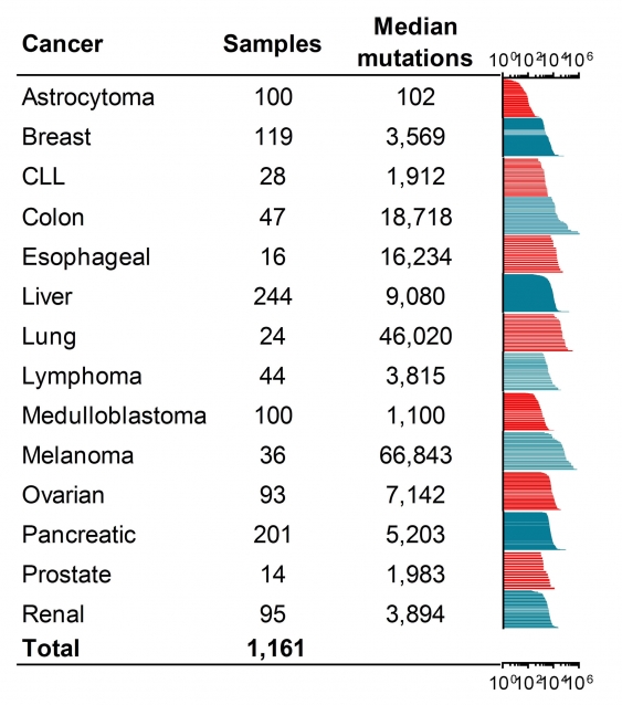 median_dna_mutations_from_1161_tumours_across_14_cancer_types_analysed_by_unsw_australia_scientists.jpg