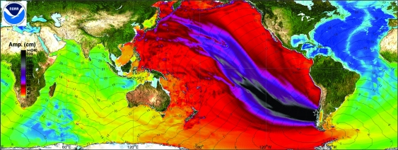NOAA model of wave amplitudes for the 1960 tsunami using historical data