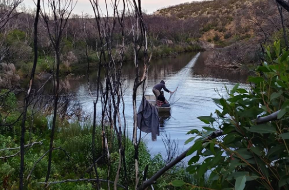 The researchers setting nets to catch platypuses on Kangaroo Island