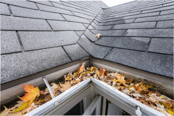 A house gutter filled with leaves