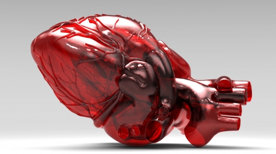 Model of an artificial human heart