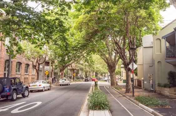 the tree-lined bourke street with a bike lane in surry hills