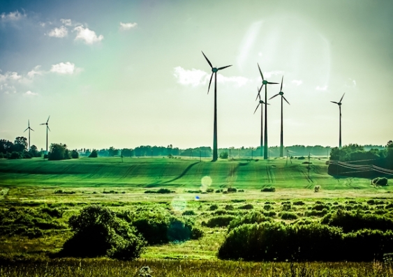 Wind farms generate renewable electricity. Photo: Shutterstock