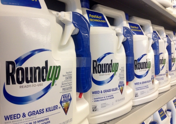 Roundup, or the chemical glyphosate, is a very common herbicide used to kill weeds. Mike Mozart/Flickr, CC BY