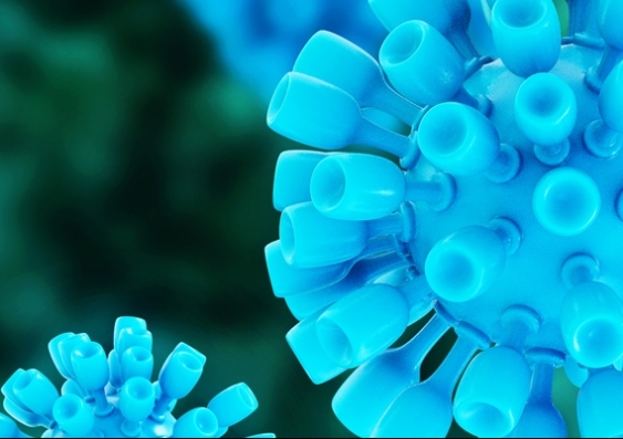 Image: 3D rendered illustration of hepatitis virus.