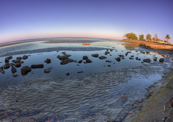 Mudflats at Sandgate, near Brisbane, Australia. Intertidal ecosystems around the world have been receding, according to the latest data. Picture: Shutterstock