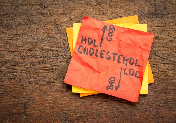The identification of ORP2 as the protein responsible for transporting cholesterol around a cell opens the way to develop drugs that could improve the body's good cholesterol levels. Picture: Shutterstock