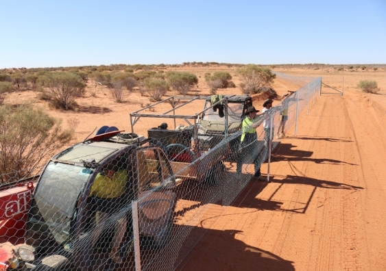 One of the fenced off areas in Sturt National Park. Picture: UNSW