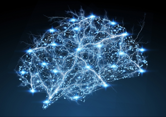D1 and D2 neurons in the striatum can be linked with learning and cognition rather than simply motor output, the research shows. Picture: Shutterstock