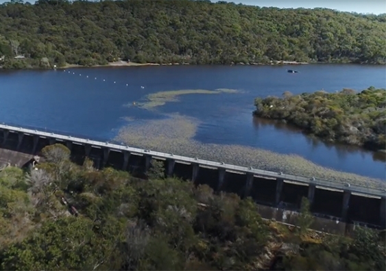 A view of Manly Dam at Sydney's Northern Beaches. Photo: UNSW
