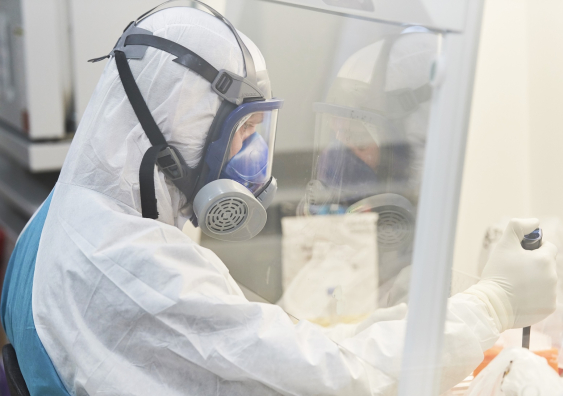 JN.1 is rapidly displacing other circulating strains. Pictured: Stuart Turville working in the Kirby Institute's containment lab in 2020. Photo: UNSW / Richard Freeman.