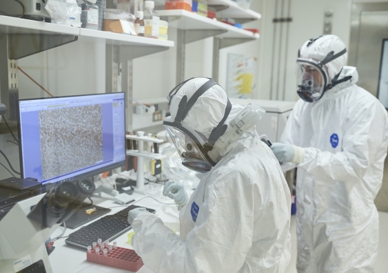 The team looked at hundreds of different cells to identify ones that would allow the virus to replicate as quickly and effectively as possible. Photo: Richard Freeman / UNSW