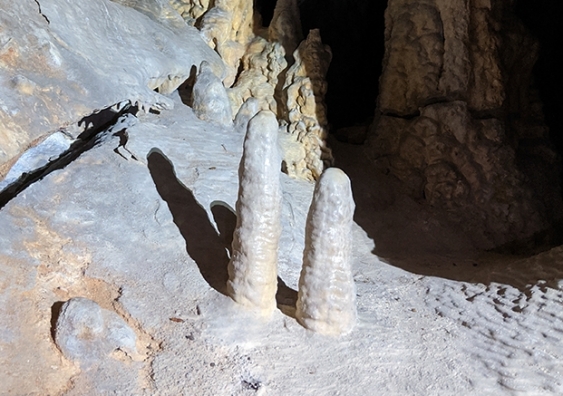 Stalagmites on average have grown one metre over the last 11,000 years. These two are in Yonderup Cave, Yanchep, Western Australia. Photo: Andy Baker/UNSW
