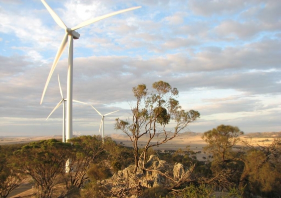 Waterloo Wind Farm in South Australia (Photo: Flickr/David Clarke)