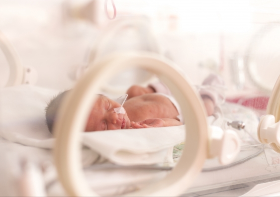 Involving parents in the integrated care of very premature babies is hugely beneficial, says UNSW's Professor Kei Lui. Photo: Shutterstoock