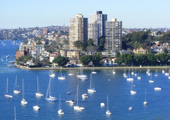 Boats in Sydney's Rushcutters Bay
