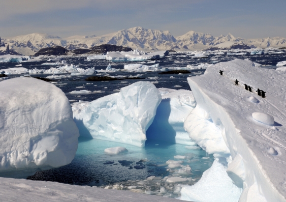 Antarctica. Image: iStock
