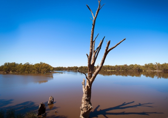 The meeting point of the Murray-Darling. Photo: Peter Myers/Flickr creative commons