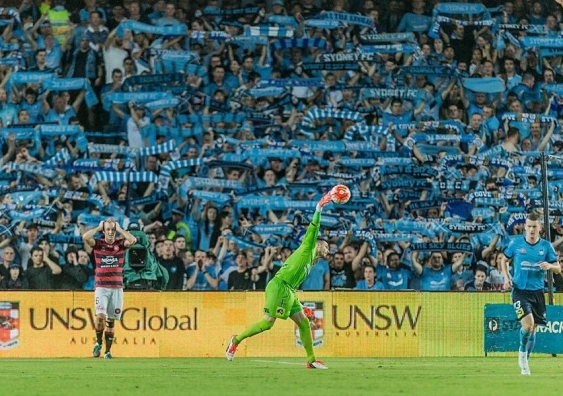 UNSW has extended its partnership with the Sky Blues for three years. Photo:supplied