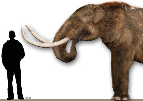 Human and an extinct Mastodon. Wikimedia Commons, CC BY-SA