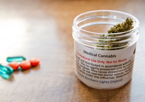 UNSW will lead Australia’s first medical cannabis trial. Image: iStock.