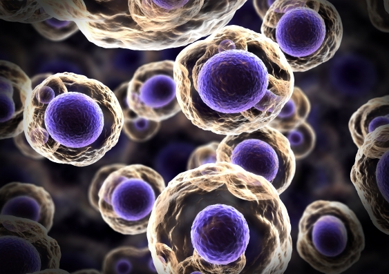 Abstract illustration of multiplying cells. Photo: Shutterstock.