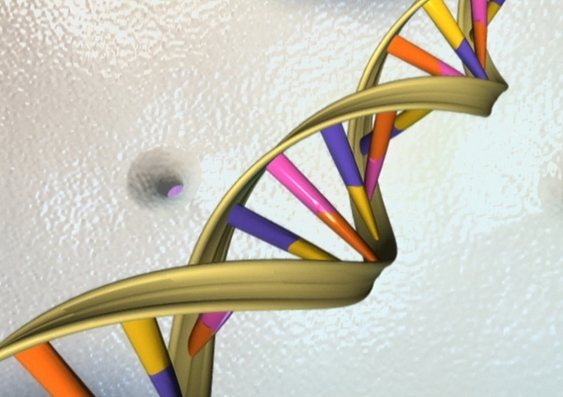 DNA Double Helix (Flick/National Human Genome Research Institute, National Institutes of Health).