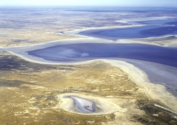 Lake Eyre full of water - a rare event. Photo: Shutterstock