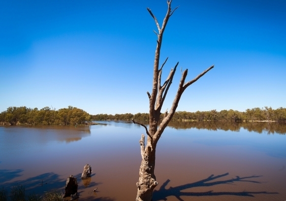 Despite billions spent trying to save the Murray Darling Basin, results have been disappointing. Photo: Richard Kingsford