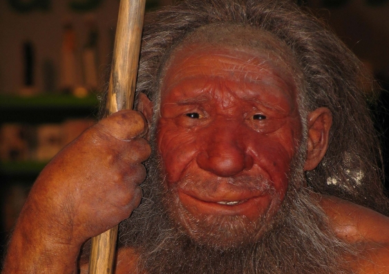 Artist's reconstruction of Neanderthal man at the Neanderthal Museum, Germany. Photo: Stephan Sheer,Wikimedia Commons, CC by-SA
