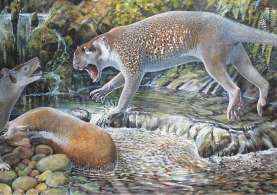 Reconstruction of Wakaleo schouteni challenging the thylacinid Nimbacinus dicksoni over a kangaroo carcass in the late Oligocene forest at Riversleigh.  Illustration by Peter Schouten in the Journal of Systematic Palaeontology