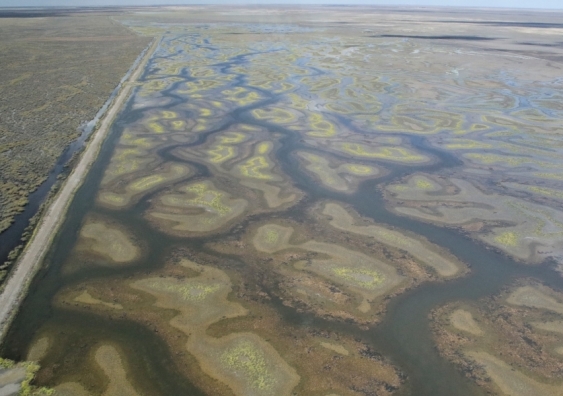 Wetland area index (104,014 ha) was the fifth lowest since surveys began. Photo: Richard Kingsford