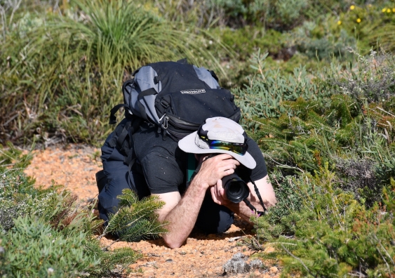 Almost 20 per cent of native Australian plant species lack a verifiable photograph. Photo: Thomas Mesaglio.