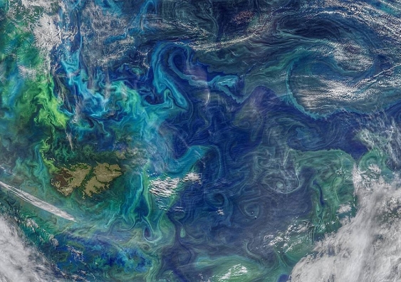 Ocean eddies are the marine equivalents of cyclones and transport large amounts of heat across the planet. Image: NASA/Goddard Space Flight Center Ocean Color/NOAA-20/NASA-NOAA Suomi NPP