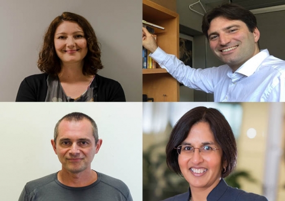 Clockwise from top left: Dr Irina Voineagu, Dr Zdravko Botev, Professor Anushka Patel, Dr Alex Sen Gupta.