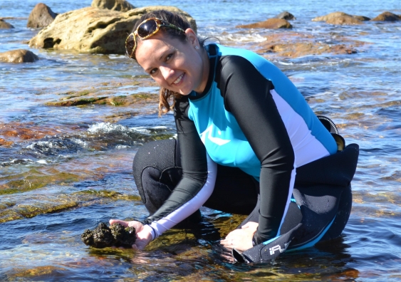 Dr Angela Crean with a sea squirt at Long Bay
