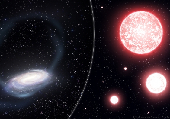 Artist’s impression of the thin stream of stars torn from the Phoenix globular cluster, wrapping around the Milky Way (left). Astronomers targeted bright red giant stars (artist’s impression, right) to measure the chemical composition of the disrupted Phoenix globular cluster. Image: James Josephides, Swinburne Astronomy