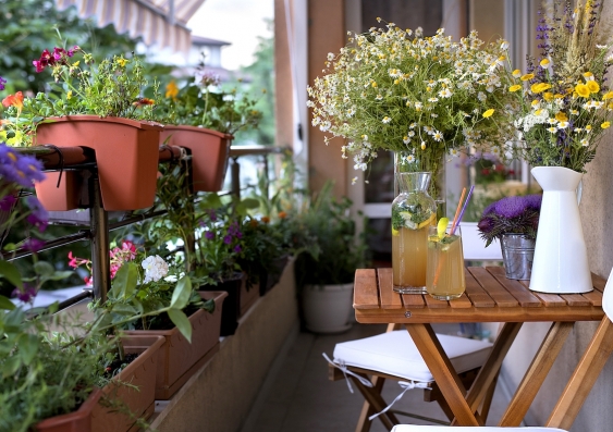 There's never been a better time to start your own balcony garden. Photo: Shutterstock.