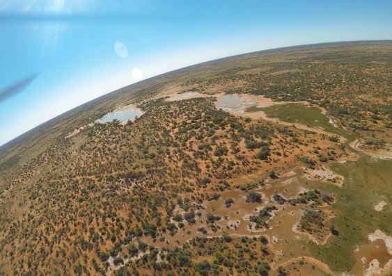 The only wetlands with water south of Tibooburra in NSW are those filled by artesian bores.